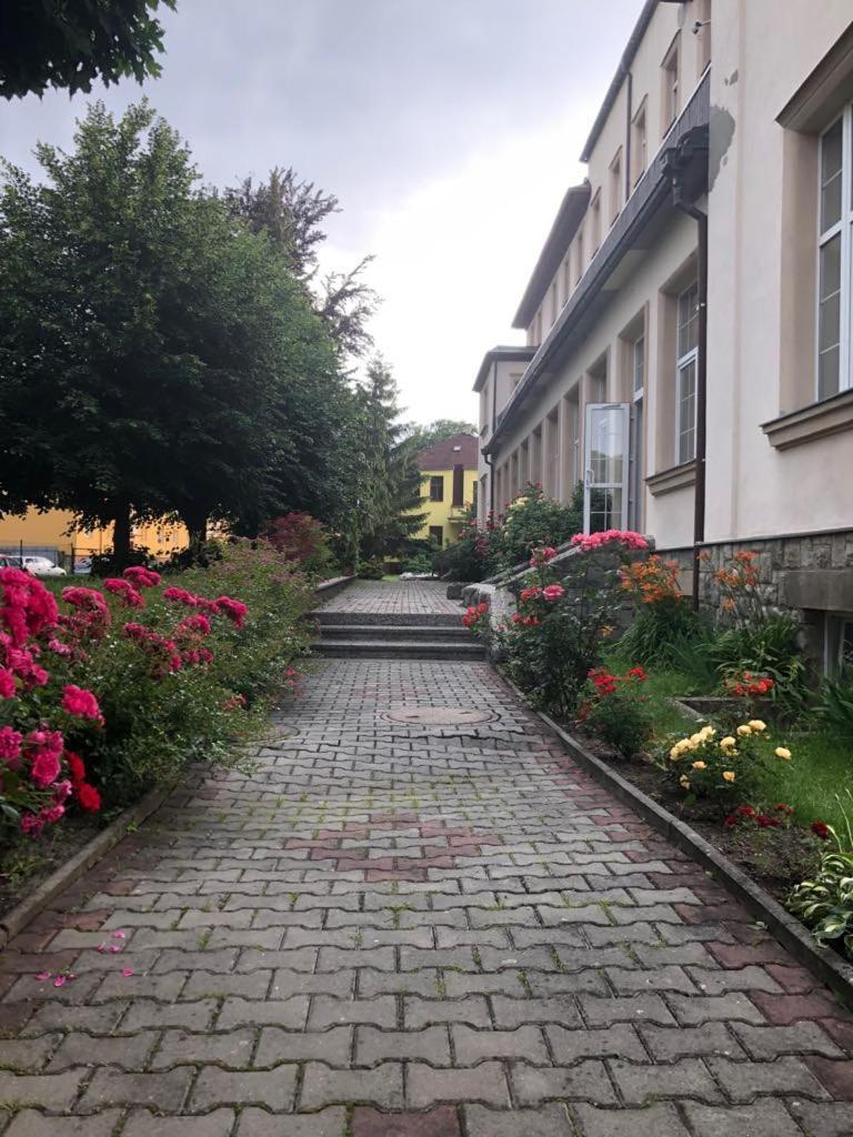 Grandhotel Nový Bor エクステリア 写真